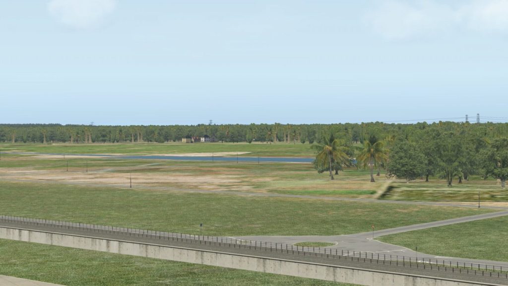 X Plane 11 Trees and grass