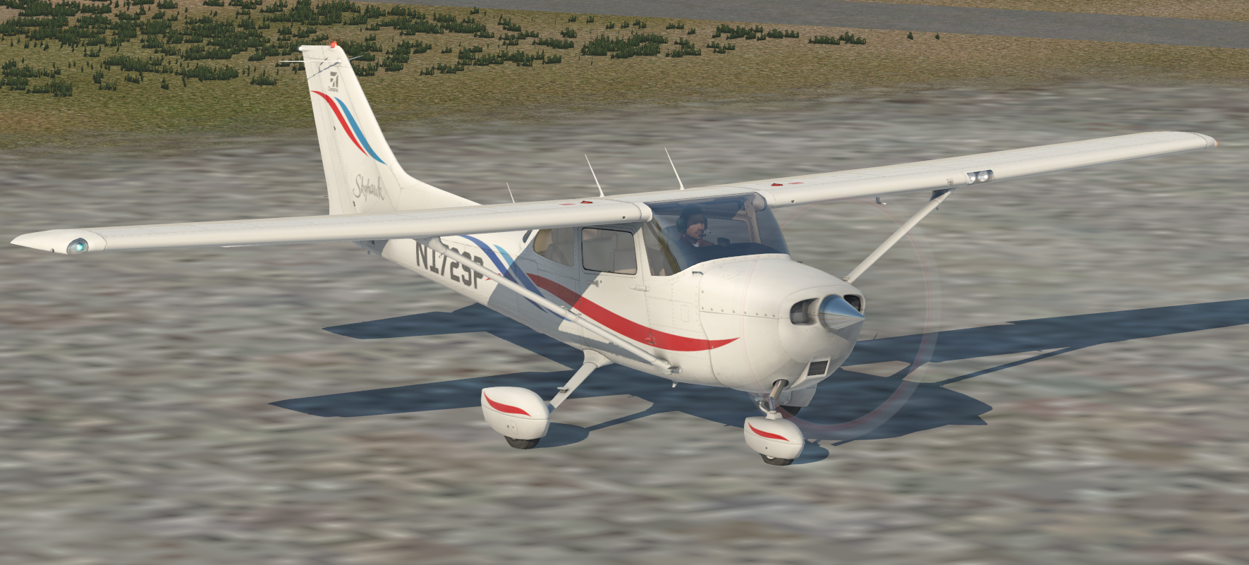 Cessna 172 Gear