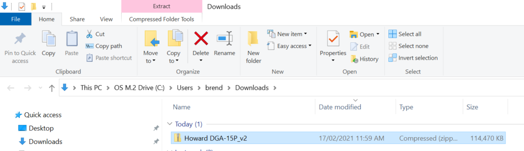 Downloaded File in Downloads File area