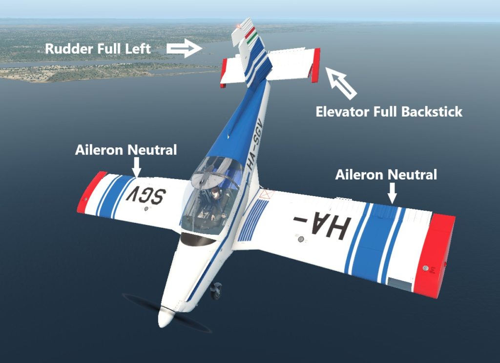 Elevator and Rudder Spin Positions
