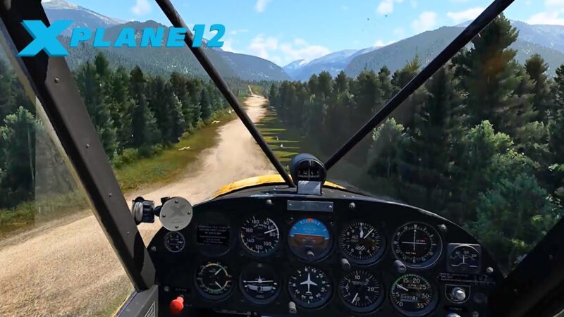 How to use X Plane 11 Camera Controls for AMAZING Views!