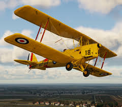 Tigermoth