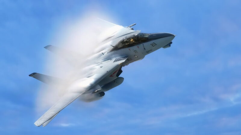 How to EXCEL at Dogfighting in the DCS F-14 Tomcat!