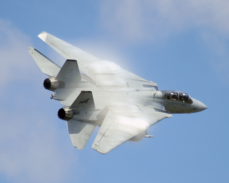 Discover the DCS F 14 Tomcat! Most Famous Fighter Ever Soar Into DCS WORLD!