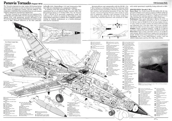 TORNADO IDS