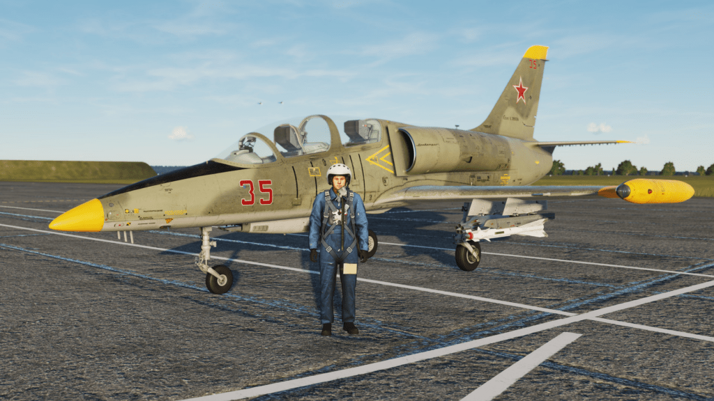 DCS MODS