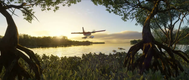 msfs 2024 twin otter e1760080998931