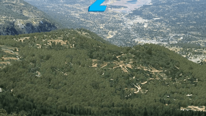 X Plane 12 Vegitation scenery