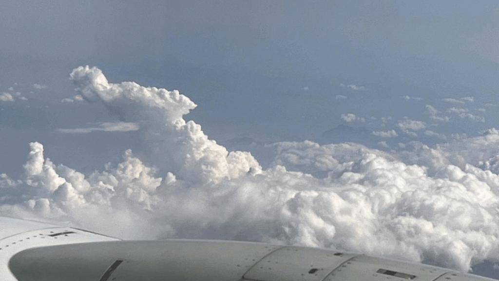 X-Plane 12