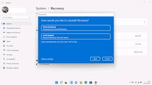 windows 11 tutorial