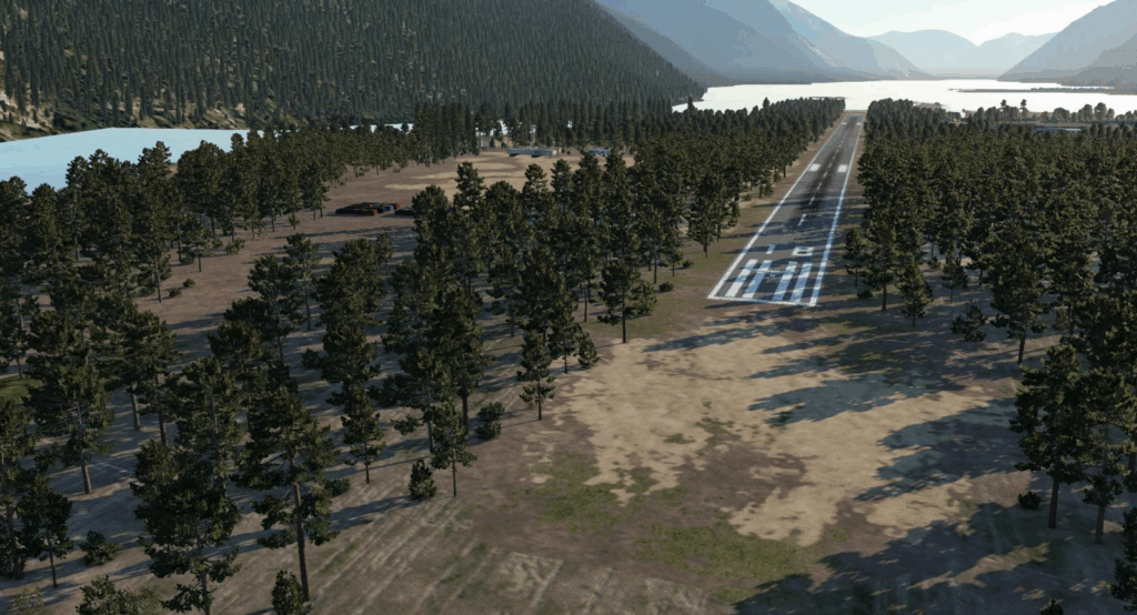 X Plane 12