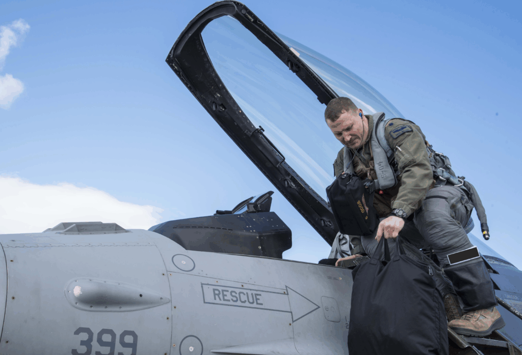 Falcon F 16 Viper Pilot 