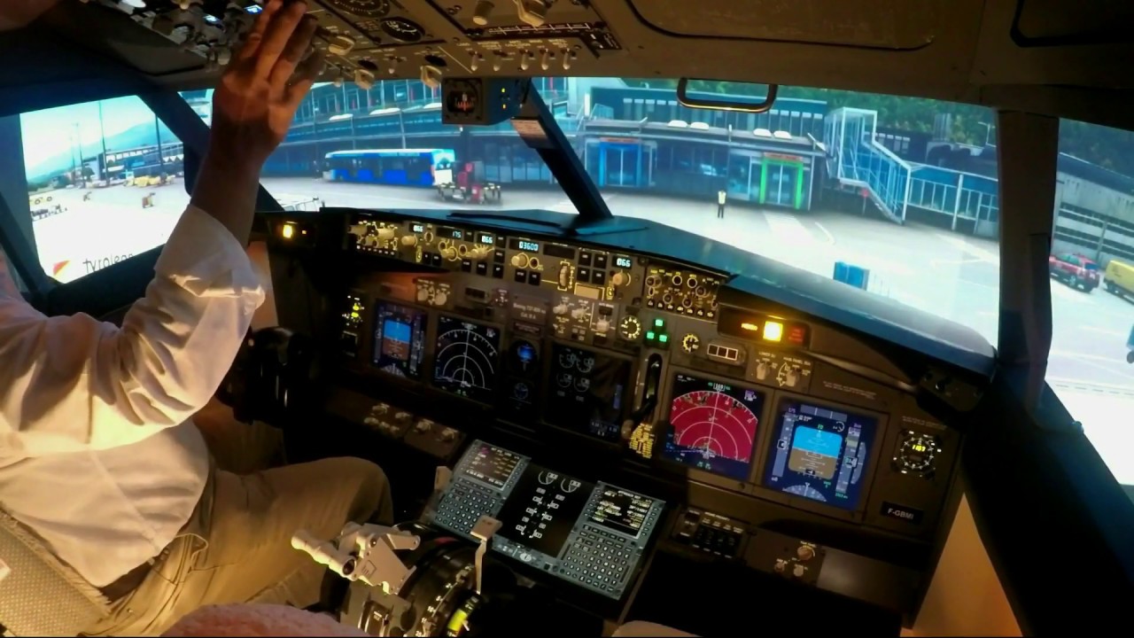 Professional Guide to Flight Simulator Projector pros and cons. Are You Ready!