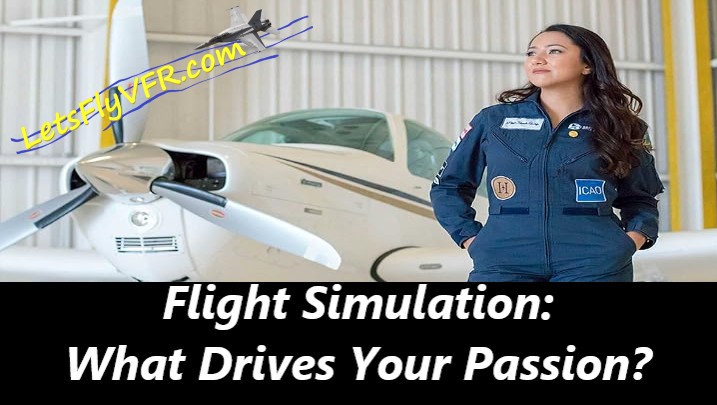 Passion For Aviation Simulation simulator Cirrus Pilot